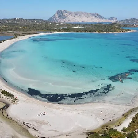 Iss Travel, Molly's Garden - 2-bedroom With Air-condition * San Teodoro (Sardinia)